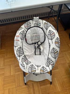 Baby Bouncer