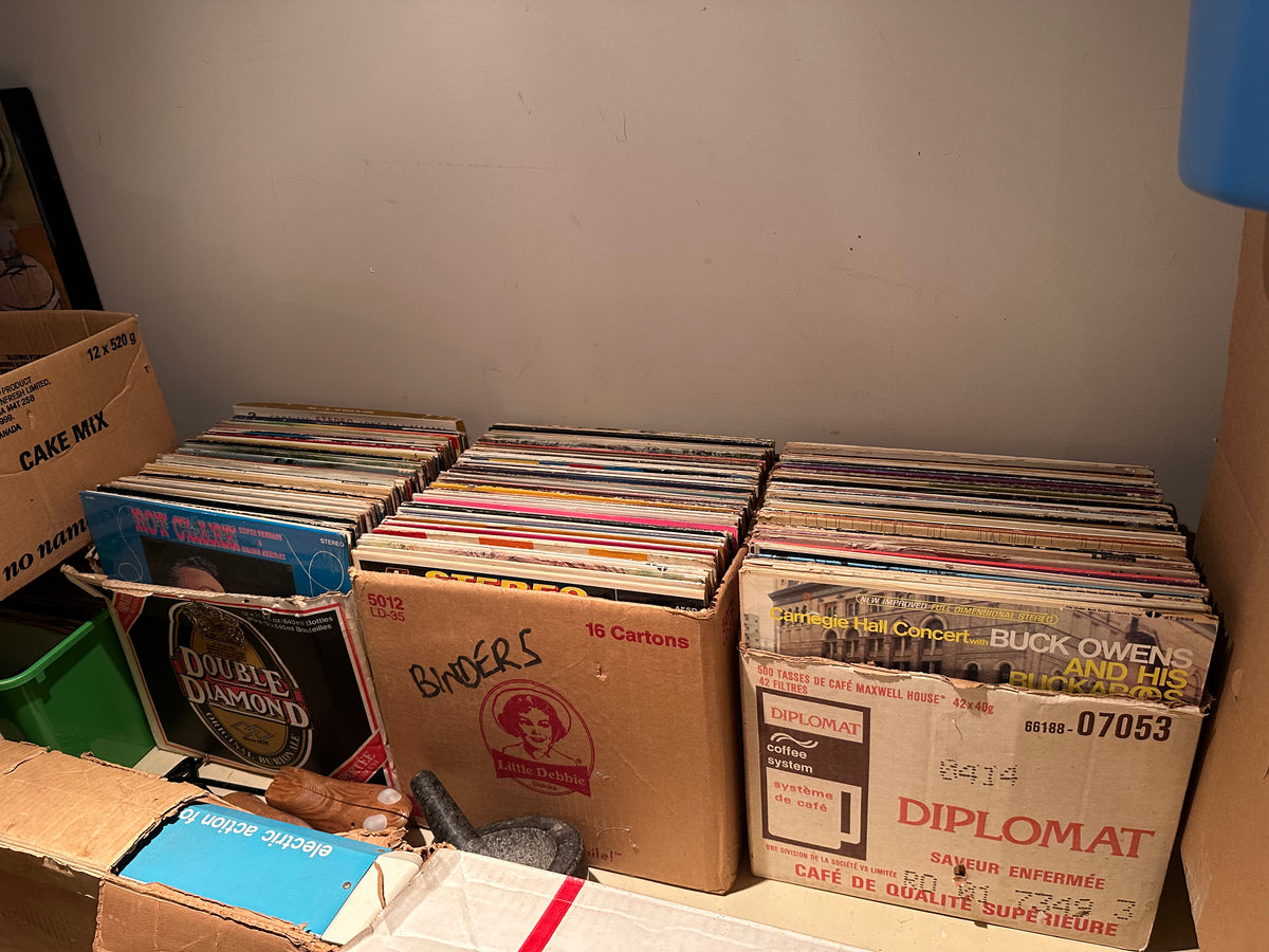Lot #3 Vinyl Record Lot