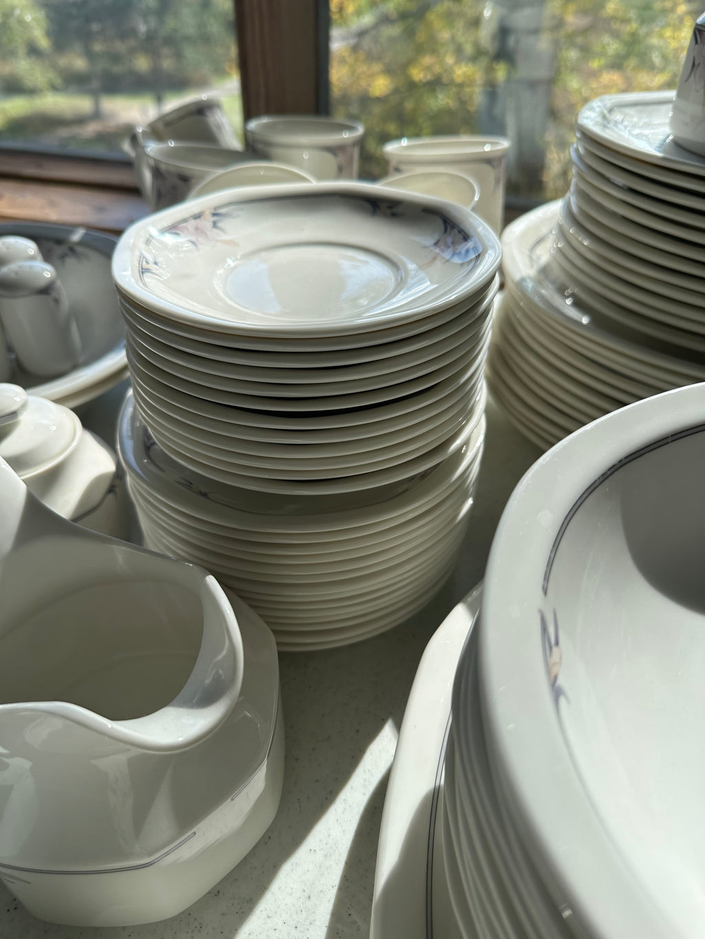 Royal Doulton “Nimbus” Set