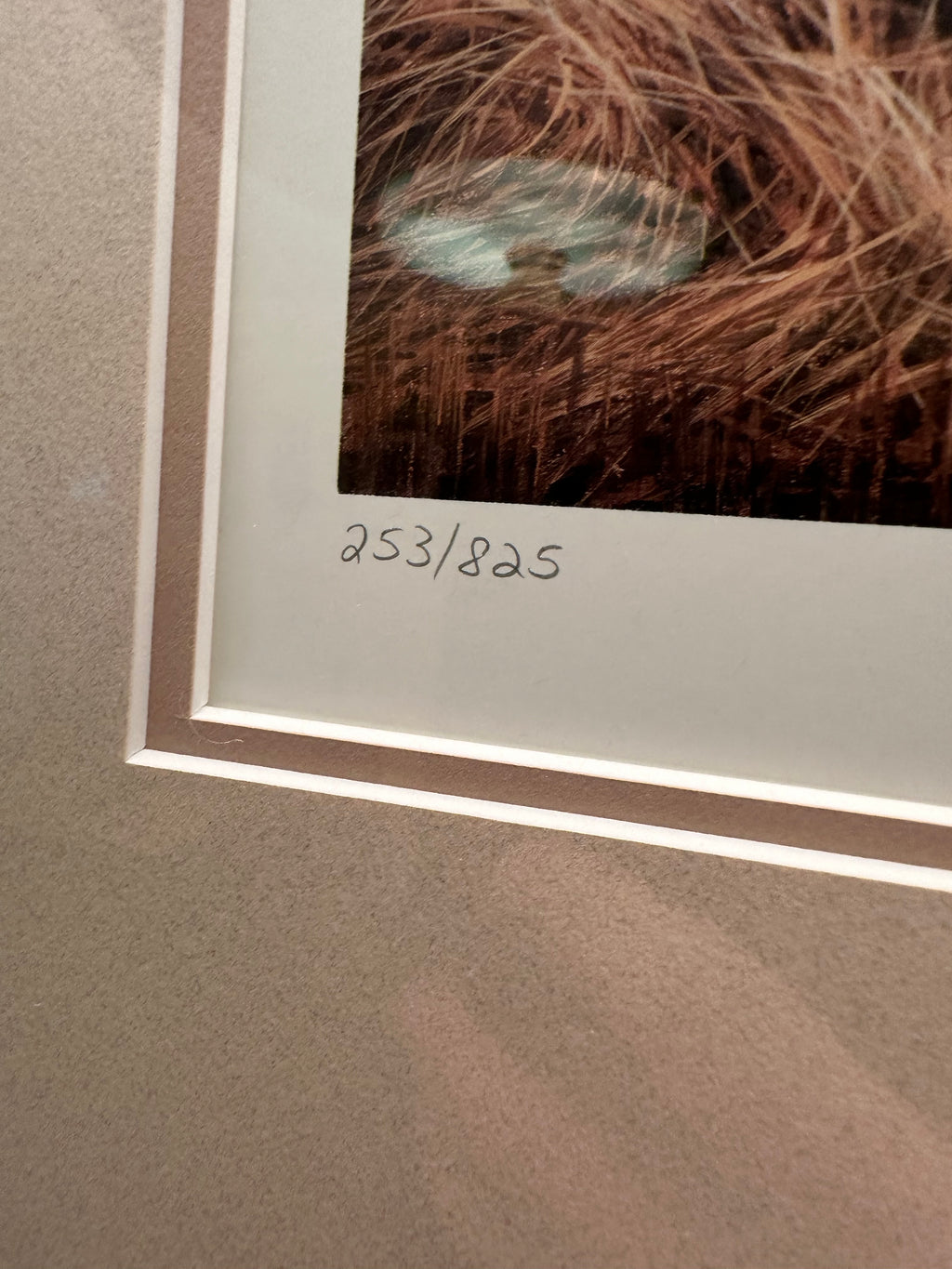 Print #6