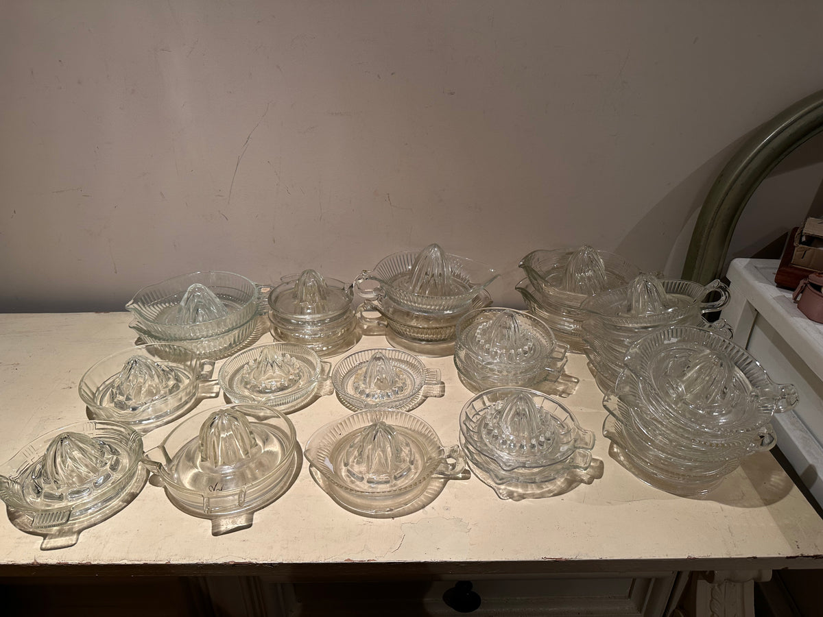 Lot #56 Juicer Lot