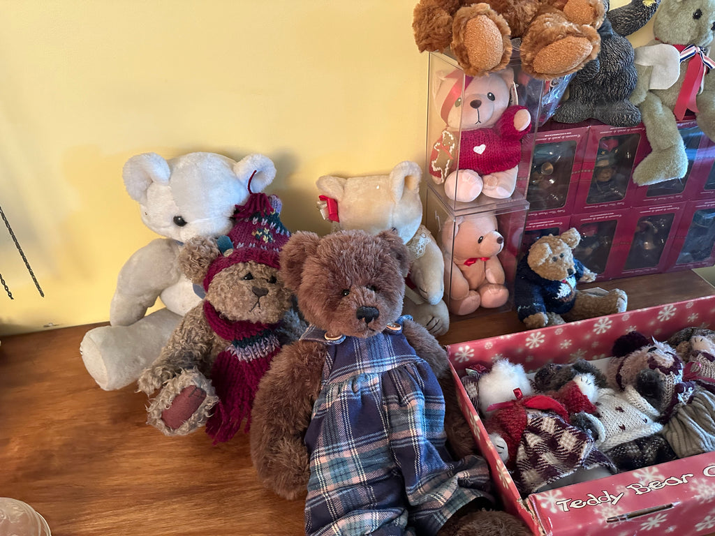 Teddy Bear Lot