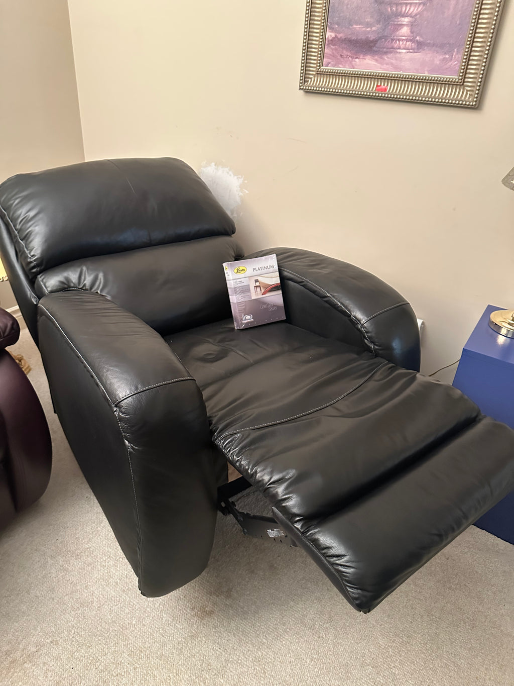 Power Leather Recliner