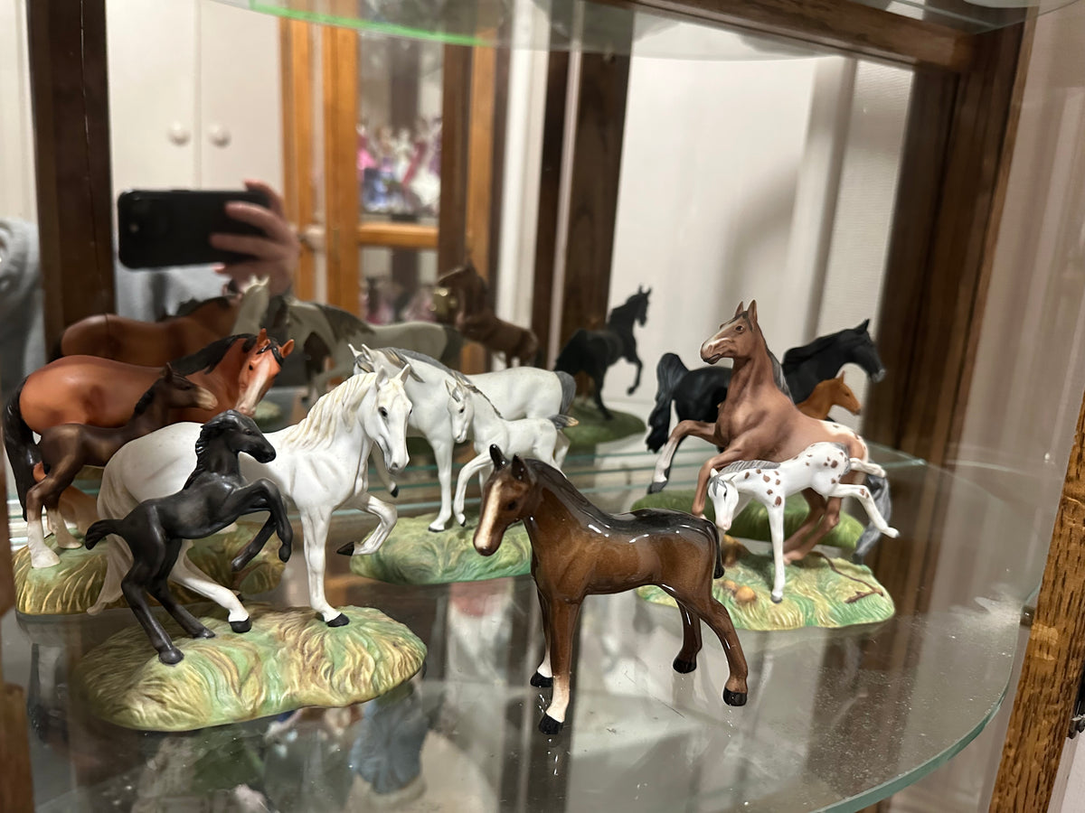 Horse Lot