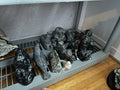 Soap Stone Lot