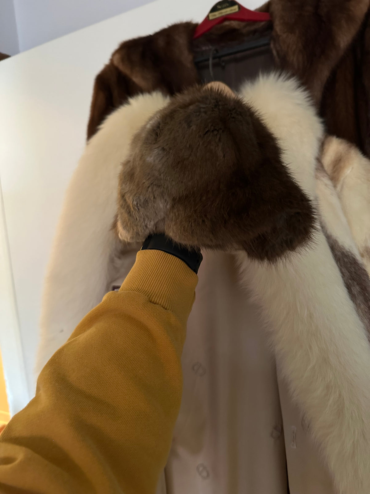 Fur Coat Lot