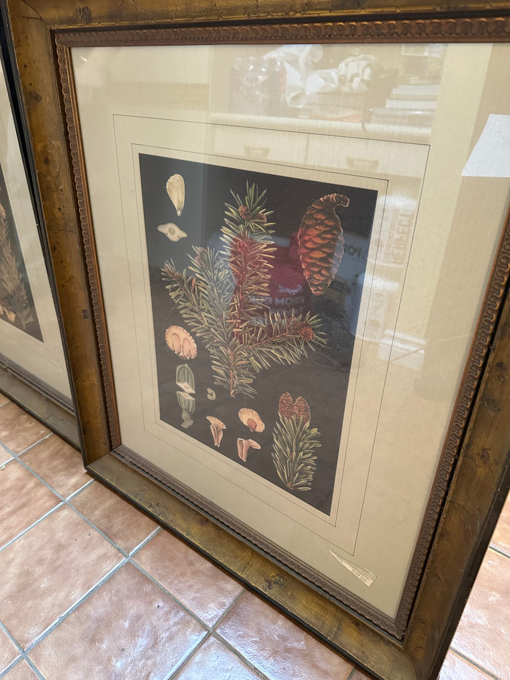 Print Set #1