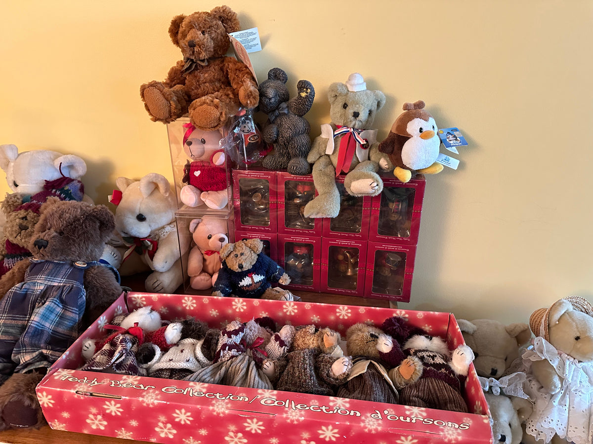 Teddy Bear Lot