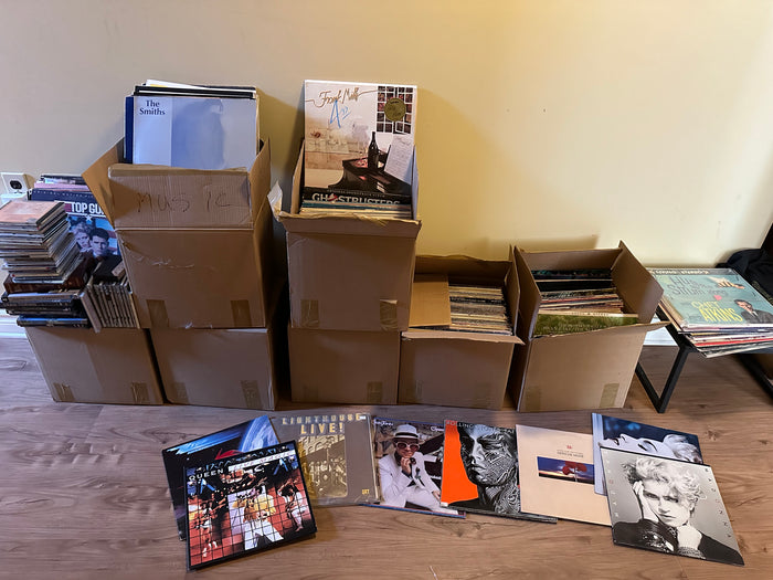 Large Vinyl Lot