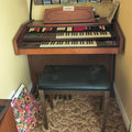 Organ