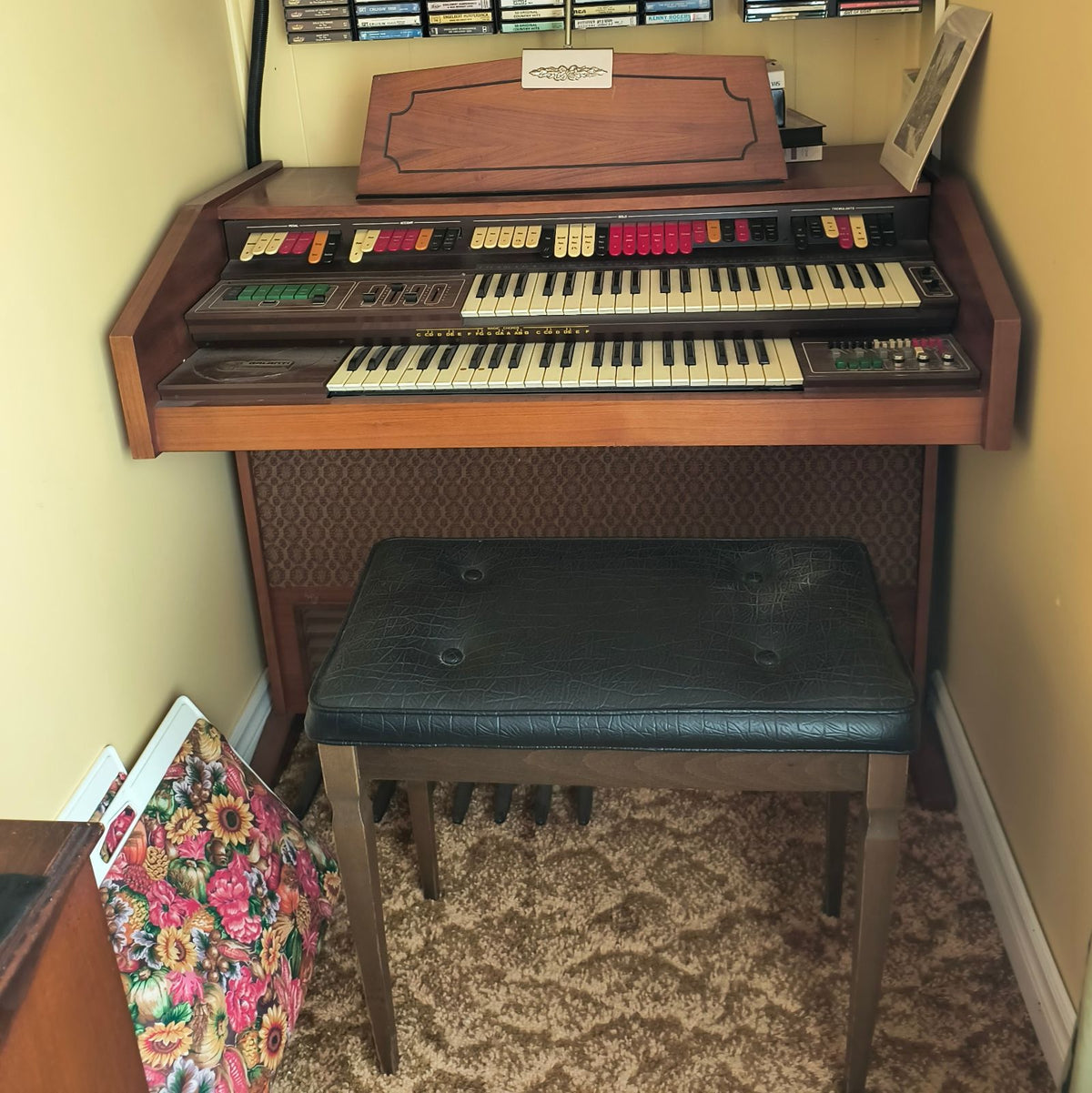 Organ
