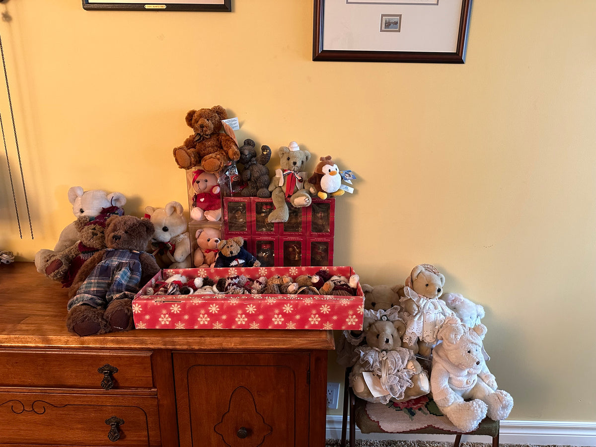 Teddy Bear Lot