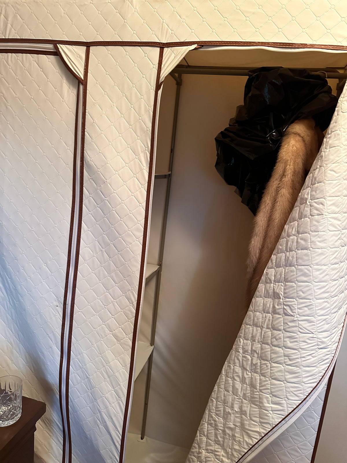 Rolling Closet