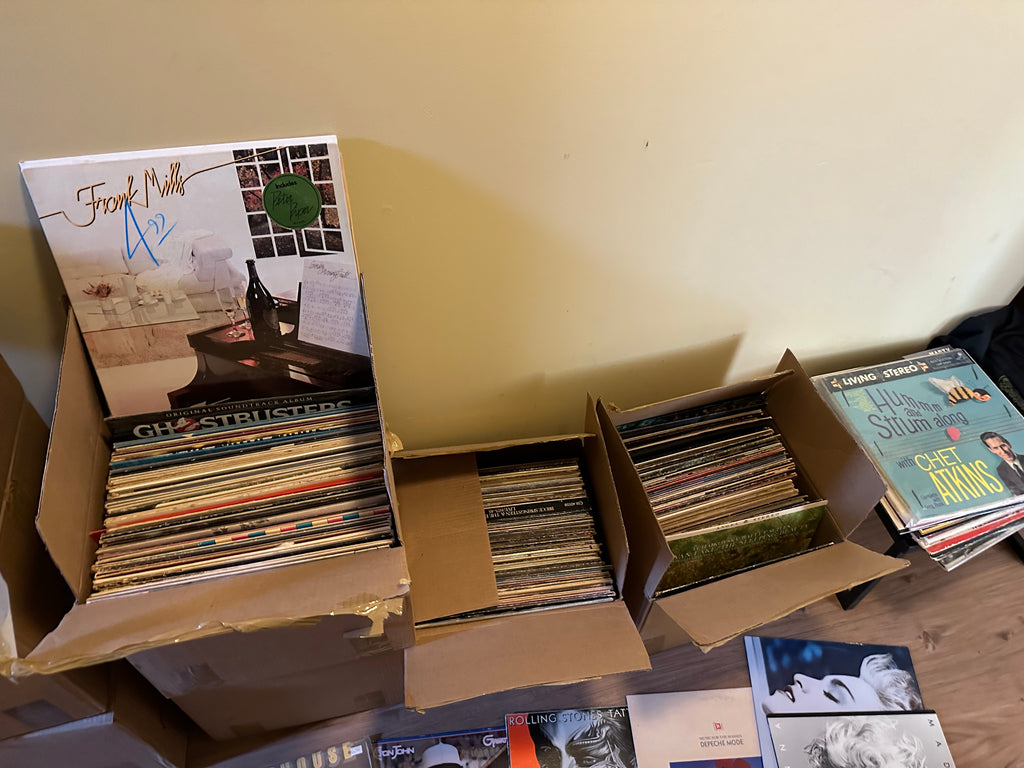 Large Vinyl Lot