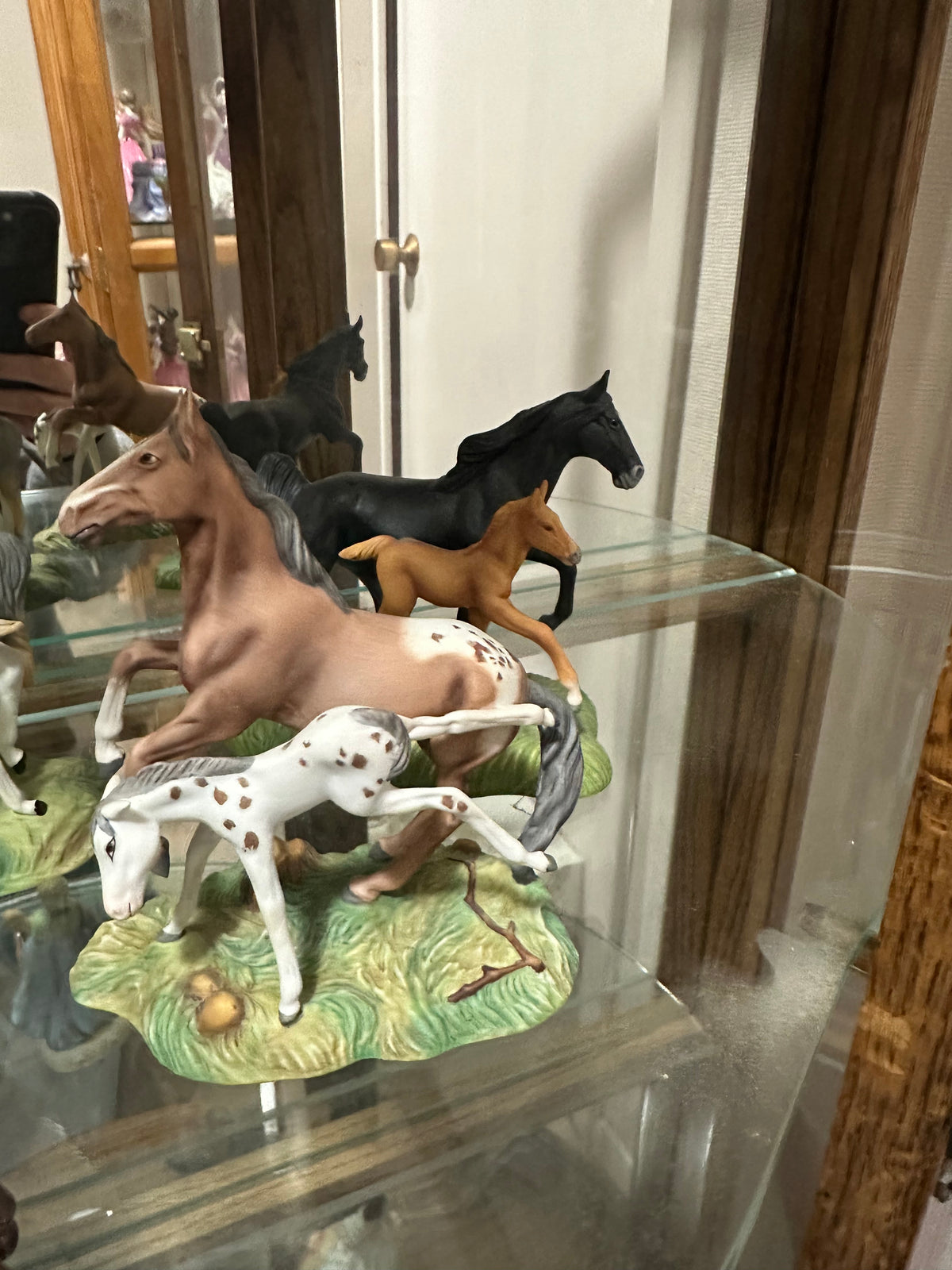 Horse Lot