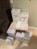 Ashton Drake Galleries Lot #2