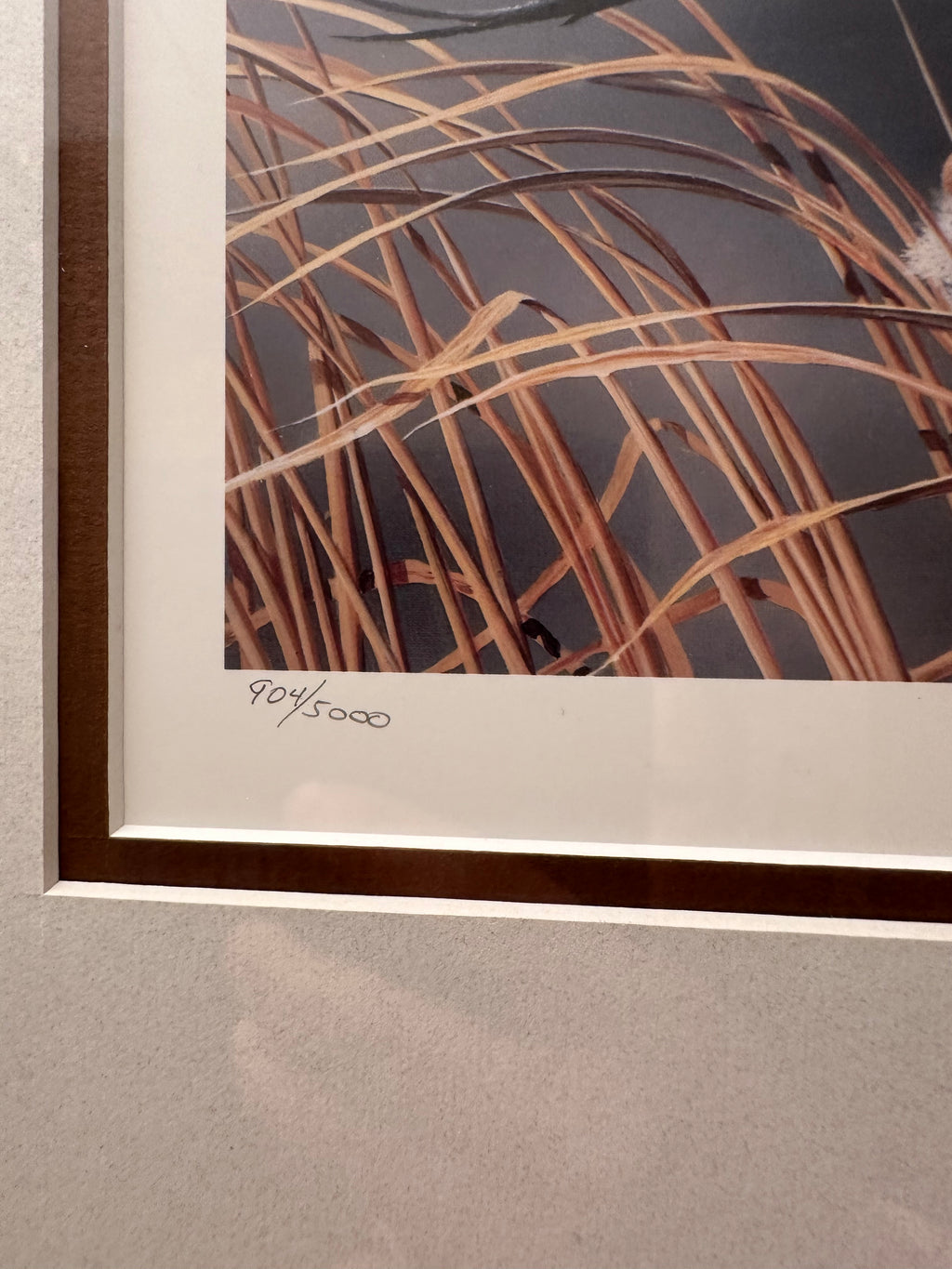 Print #5