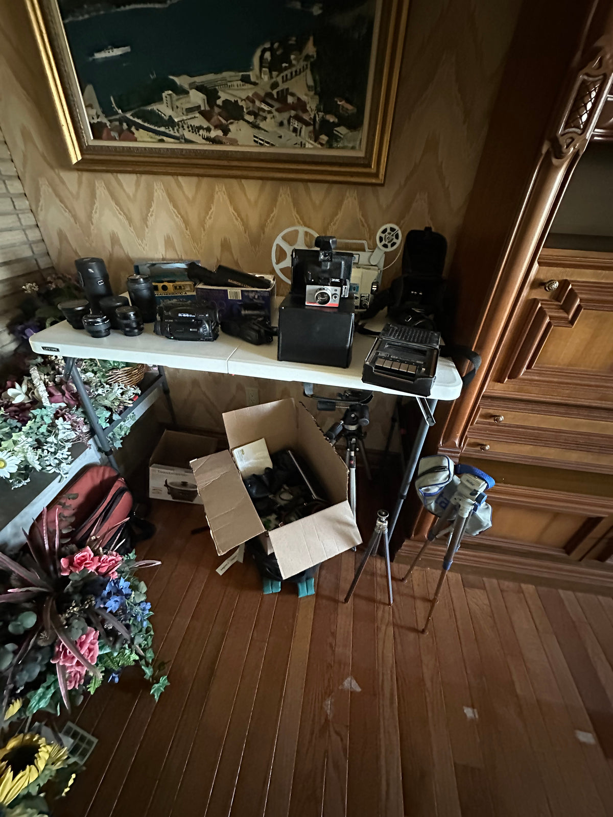 Photography Lot