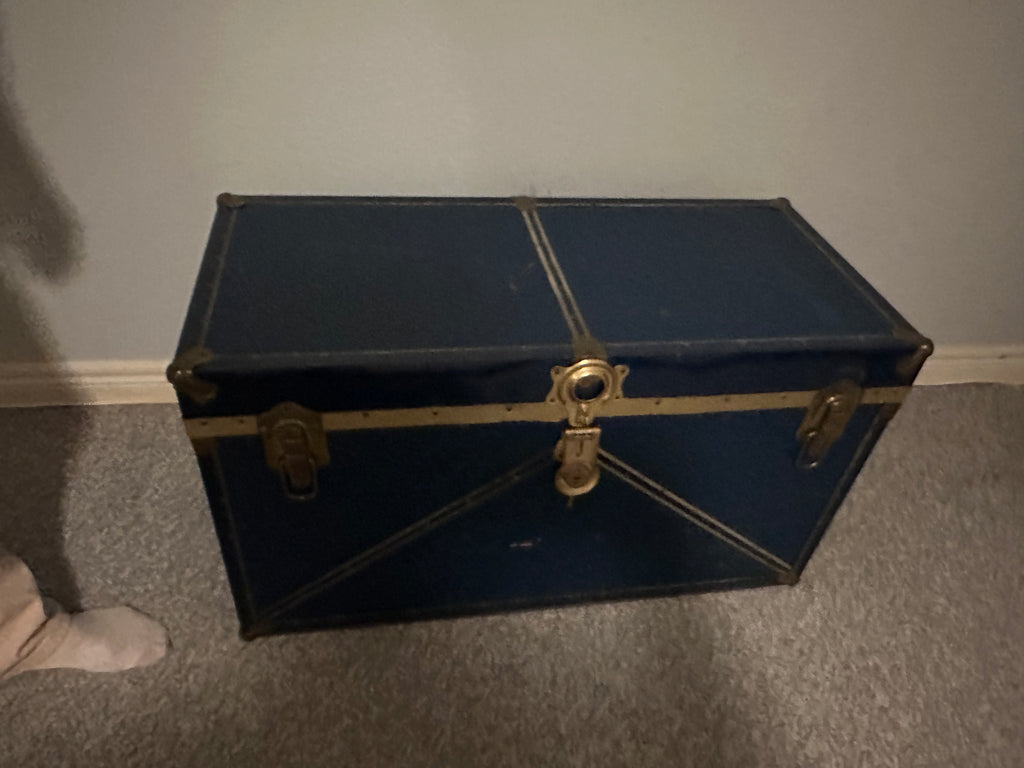 Travel Trunk
