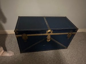 Travel Trunk
