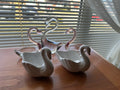 Swan Lot