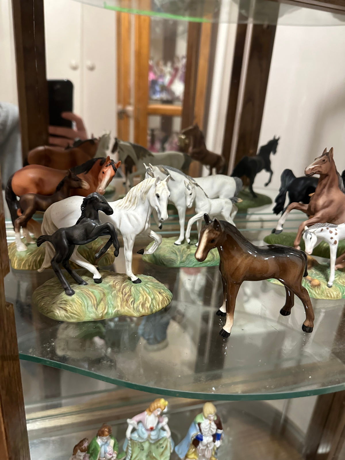 Horse Lot