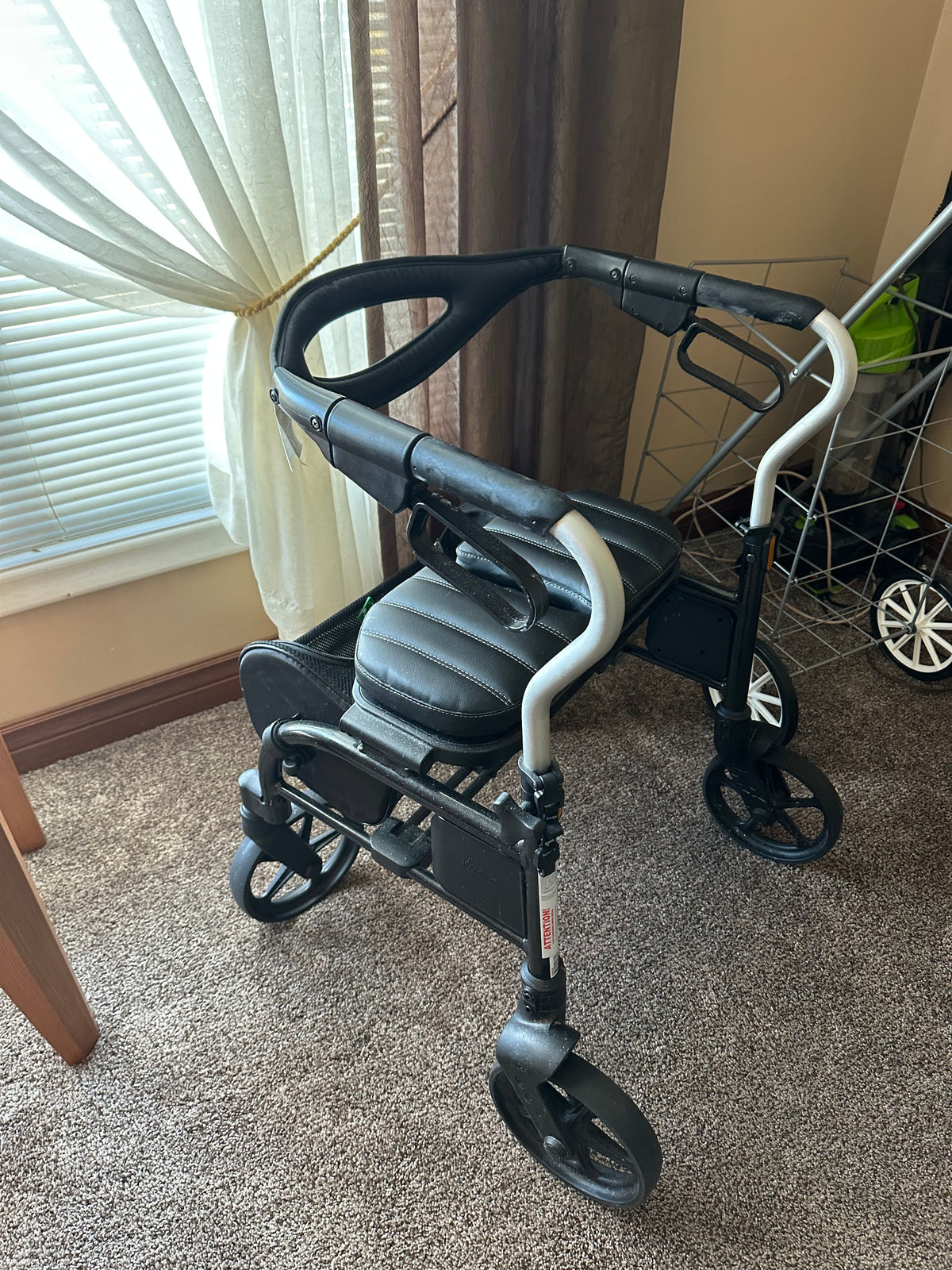 Mobility Walker #1