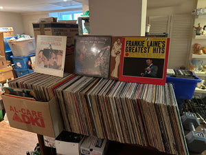 Lot #3 Vinyl Record Lot