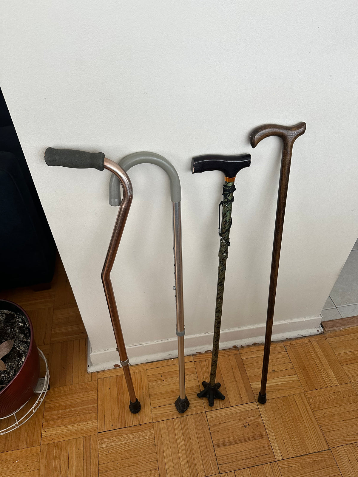 Stability Canes