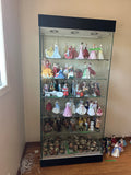 Glass Commercial Display Case