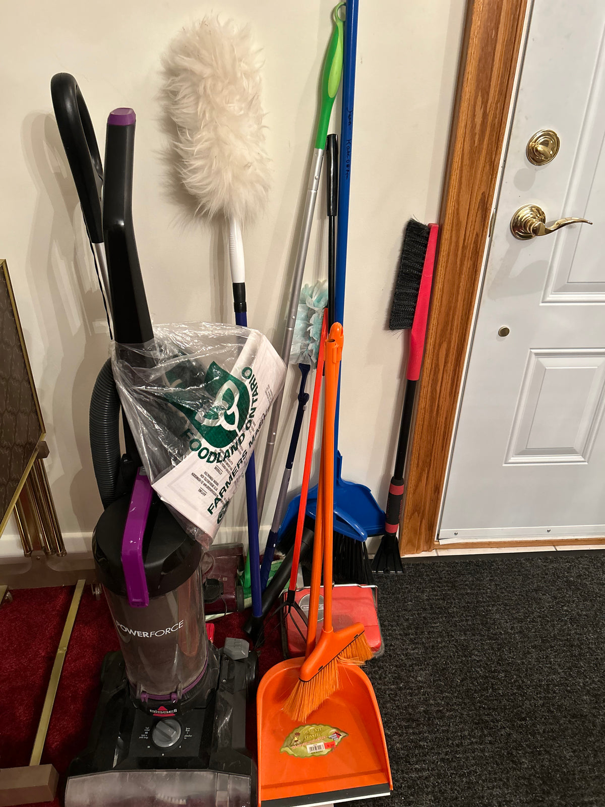 Household Cleaning Lot