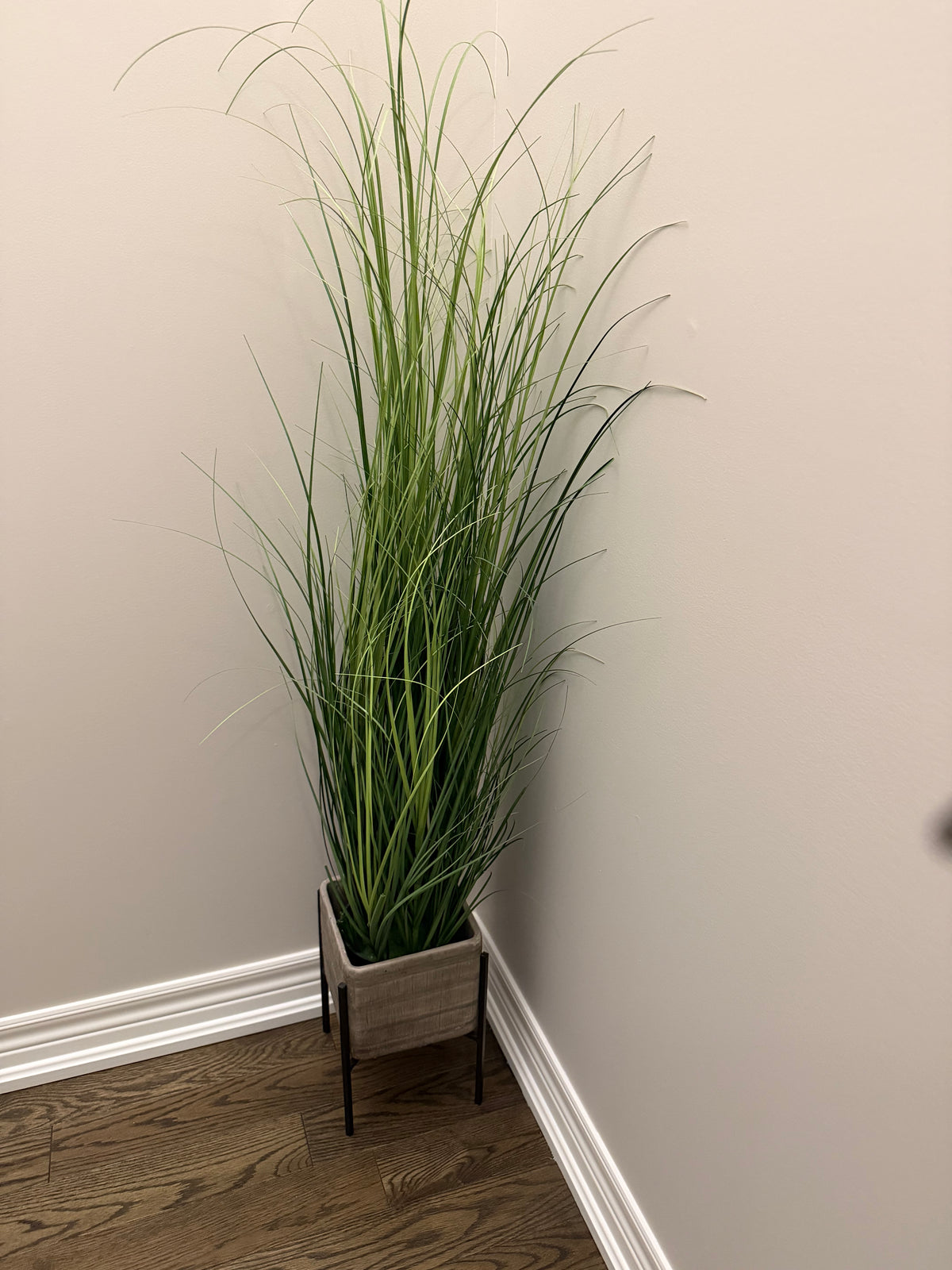 Faux Plant