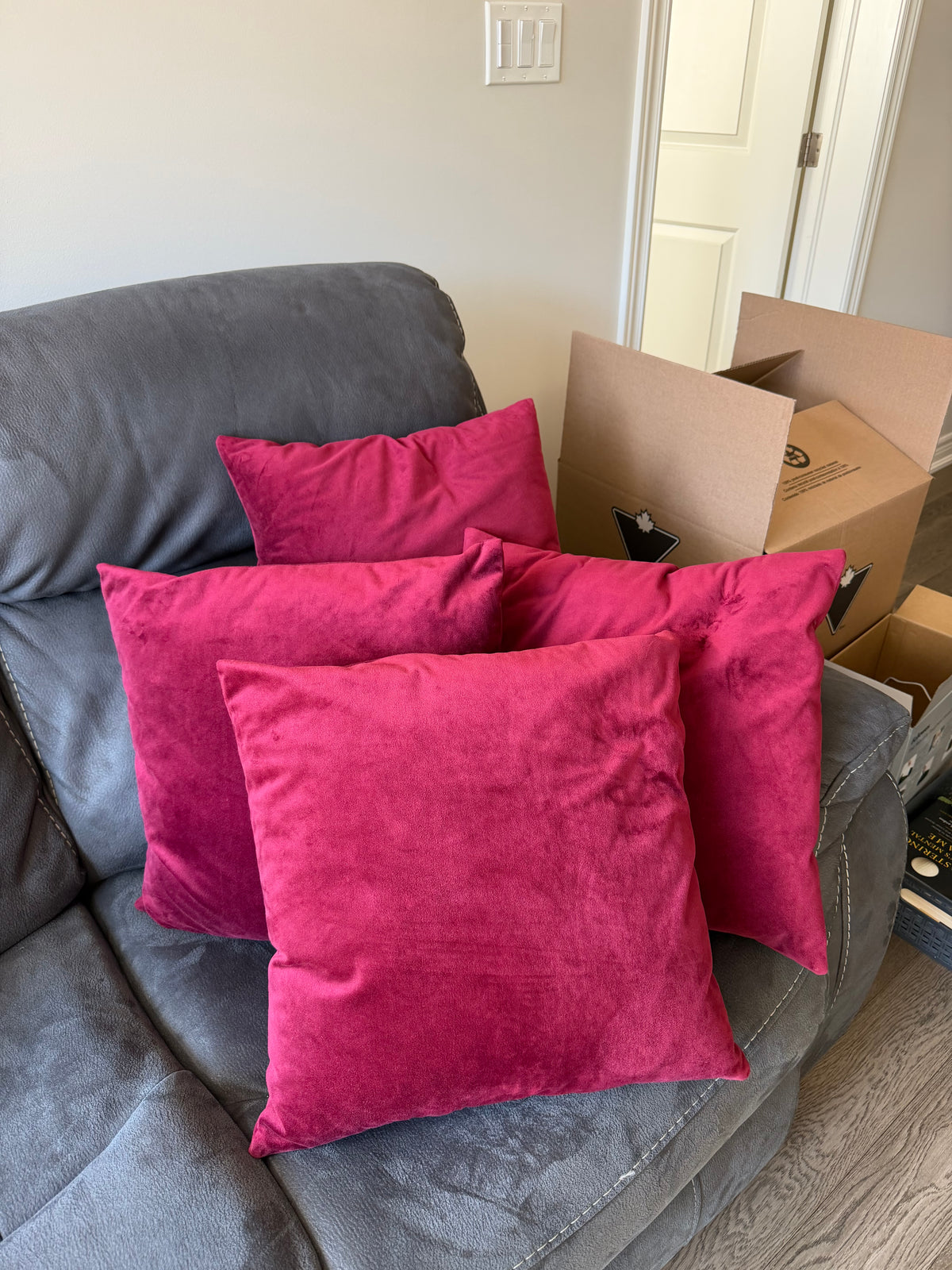 Throw Pillows #4