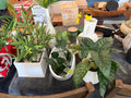 White Faux Flower Lot